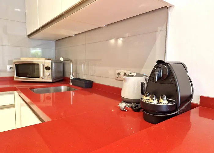 Sr Romana Playa Apartament Marbella