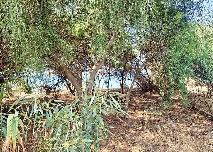 Apartament Sr Romana Playa *