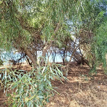 דירה Sr Romana Playa *